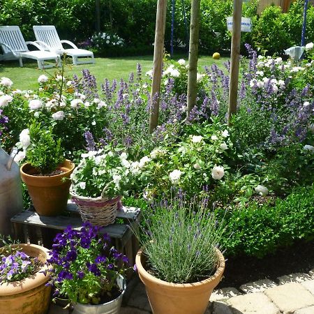 Heidelandhaus Zuhlke Mit Gemutlicher Sudterrasse Soltau Εξωτερικό φωτογραφία